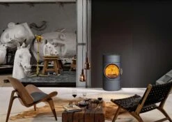 Kaminofen Austroflamm Clou Compact -Cocoon Verkäufe kaminofen austroflamm clou compact milieujpg 4 9743