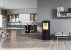 Kaminofen Nordpeis Origo Basic -Cocoon Verkäufe kaminofen nordpeis origo basic milieujpeg 4 145410